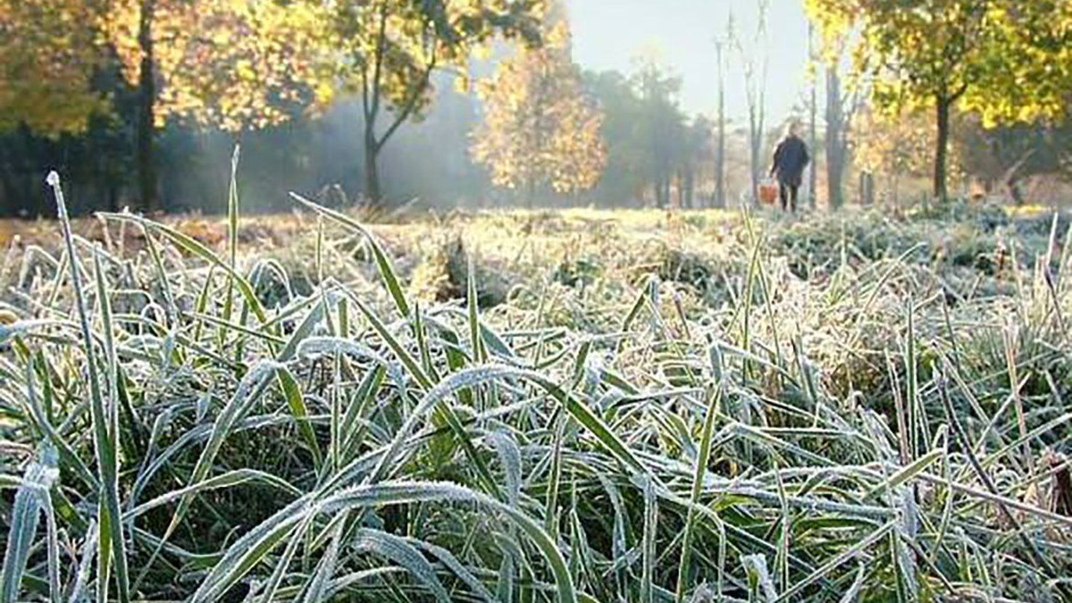 В Украине объявили резкое похолодание: ожидаются сильные заморозки - 24 Канал В Украине объявили резкое похолодание: ожидаются сильные заморозки - 24 Канал