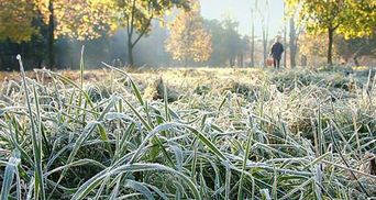 В Украине объявили резкое похолодание: ожидаются сильные заморозки