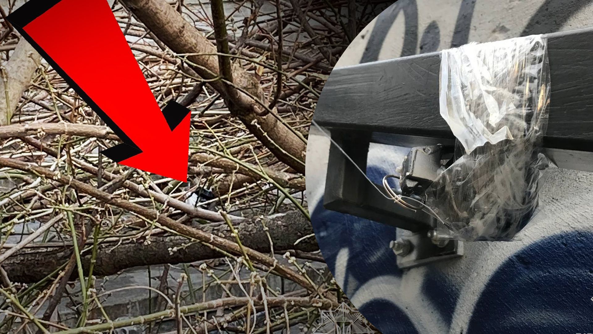 В Киеве на Печерске между сложенными сухими ветками обнаружили растяжку В Киеве на Печерске между сложенными сухими ветками обнаружили растяжку