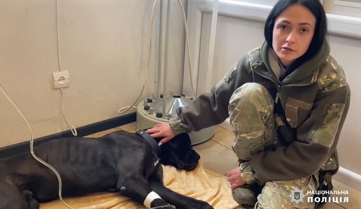Столичні поліцейські-кінологи врятували від смерті покинутого собаку: зворушлива історія - 24 Канал Столичні поліцейські-кінологи врятували від смерті покинутого собаку: зворушлива історія - 24 Канал
