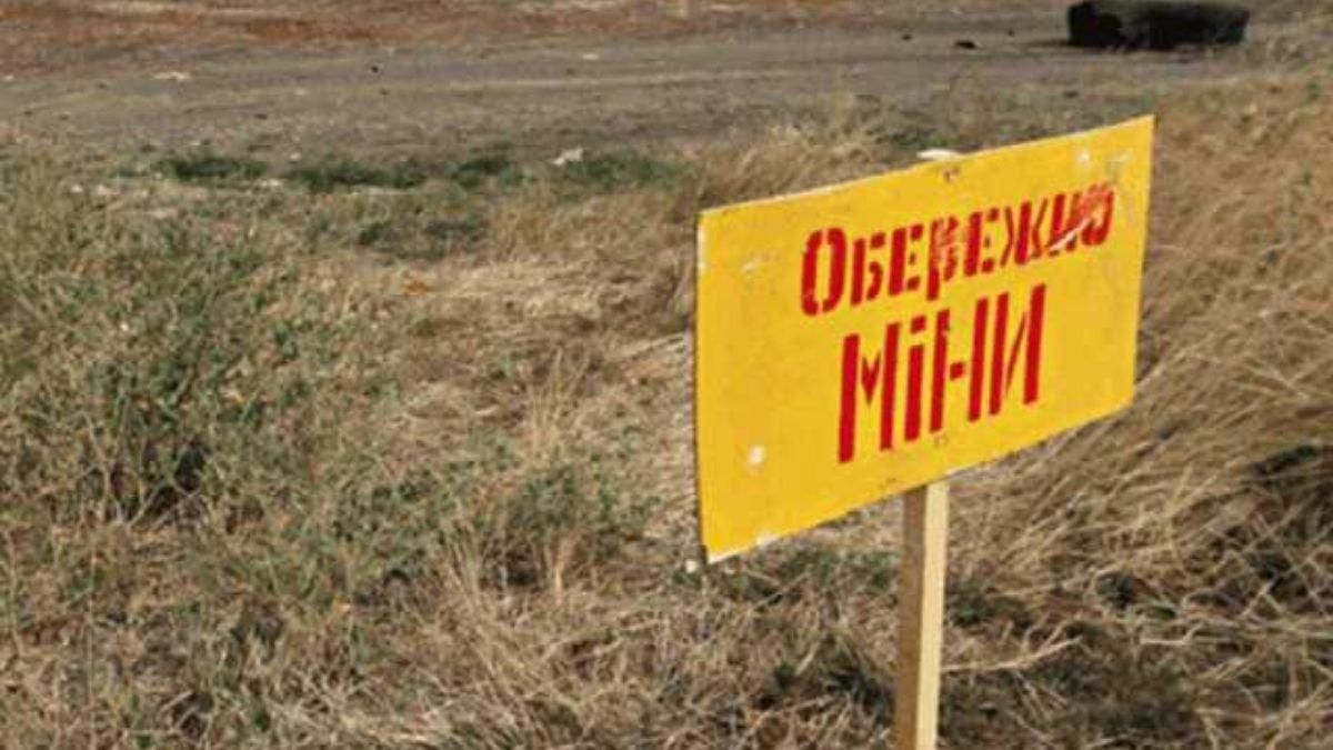 Для розмінування територій в Україну можуть направити турецьких спеціалістів
