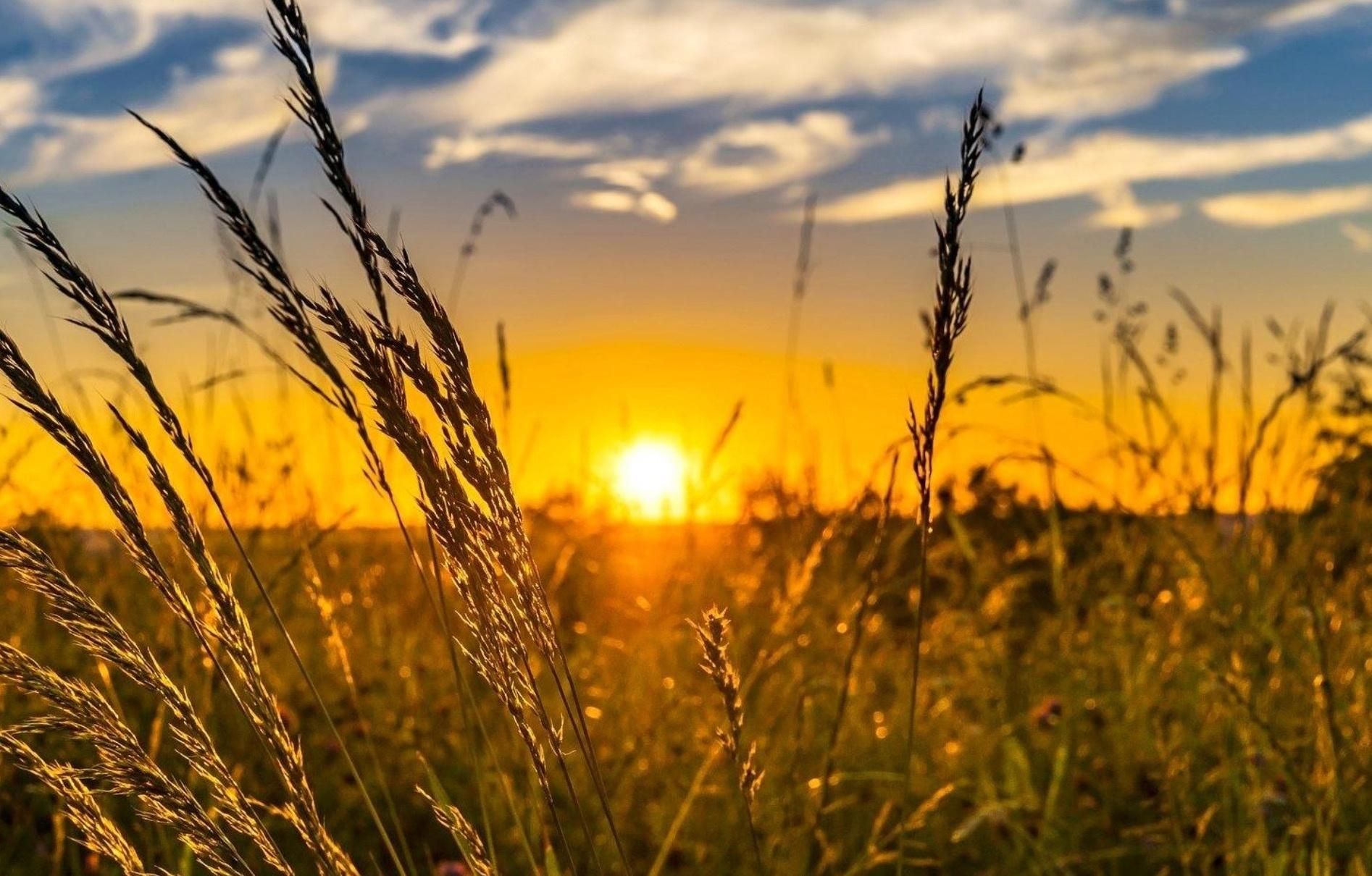 Негода відступає, на більшості територій України розквітне весна: прогноз погоди на 20 квітня Негода відступає, на більшості територій України розквітне весна: прогноз погоди на 20 квітня