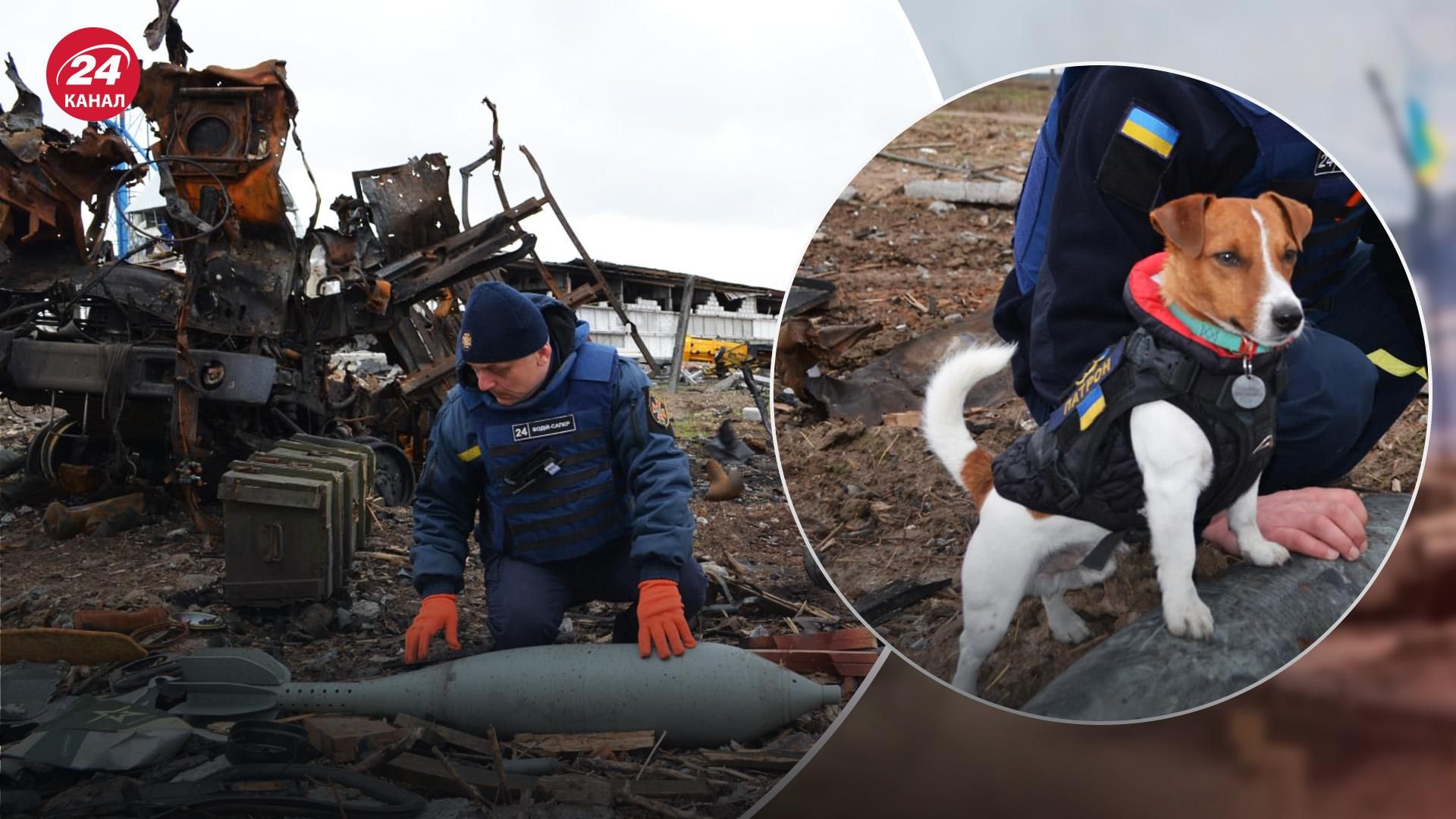 Рятувальники знешкоджують техніку окупантів: їм допомогає легендарний Патрон - 24 Канал Рятувальники знешкоджують техніку окупантів: їм допомогає легендарний Патрон - 24 Канал