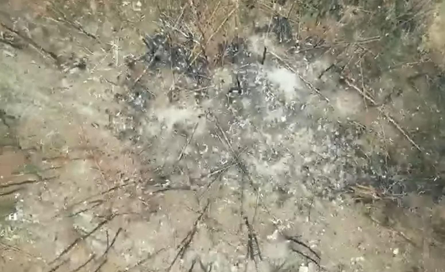 Українські артилеристи знищили склад боєприпасів російських загарбників: відео з руїнами - 24 Канал