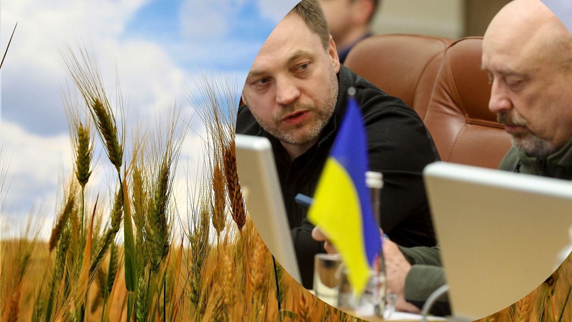 Украина засеет яровыми культурами более 80% от общей площади посева прошлого года, - Кабмин Украина засеет яровыми культурами более 80% от общей площади посева прошлого года, - Кабмин