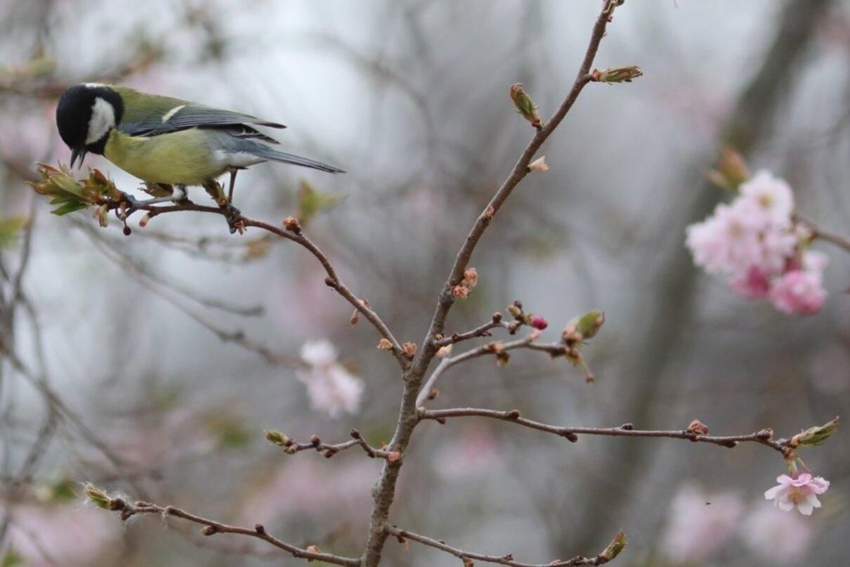 Почти всю Украину накроет дождями: прогноз погоды на 21 апреля