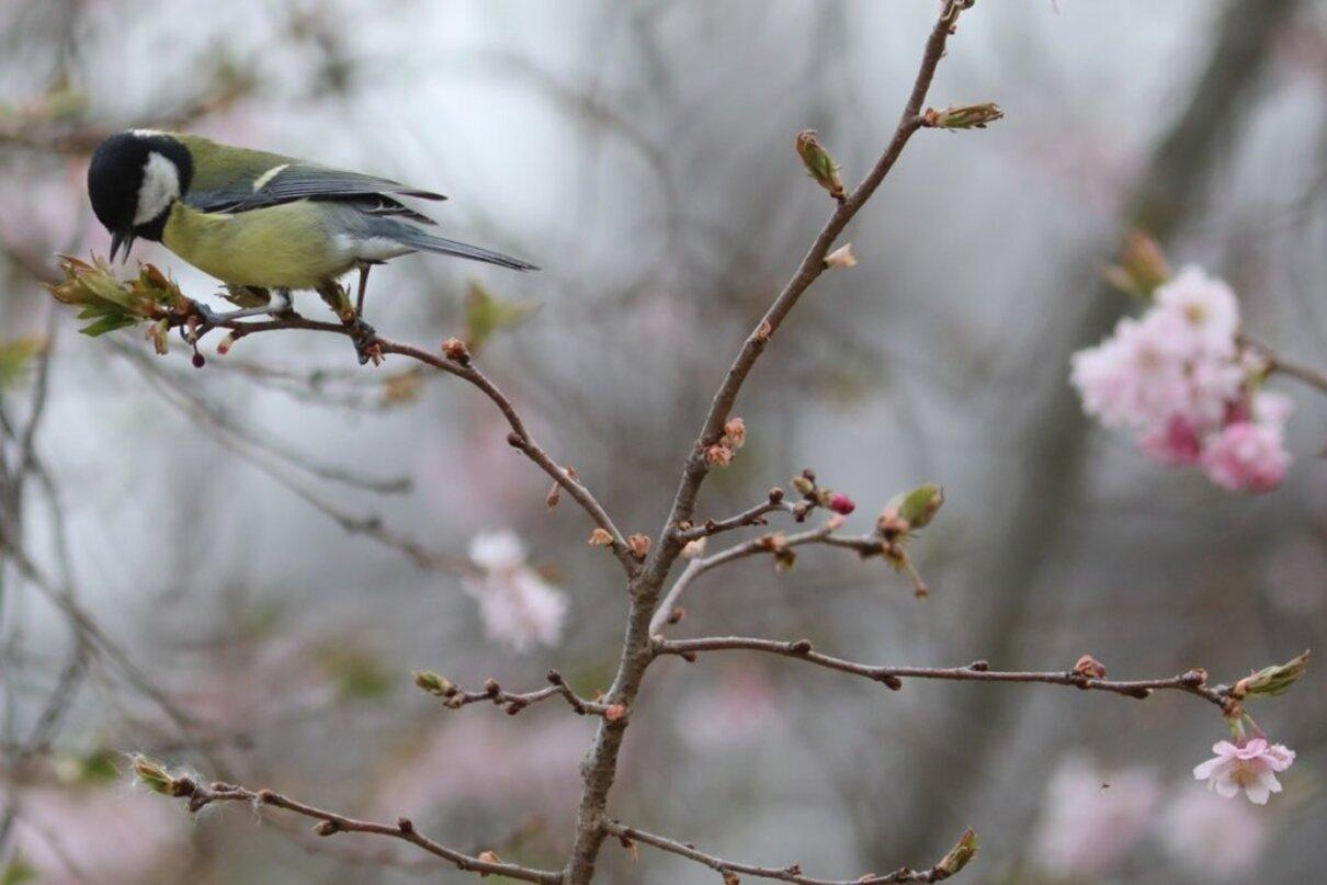 Почти всю Украину накроет дождями: прогноз погоды на 21 апреля