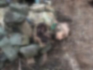 Воины Королевской бригады уничтожили наемников ЧВК "Лига" под Попасной