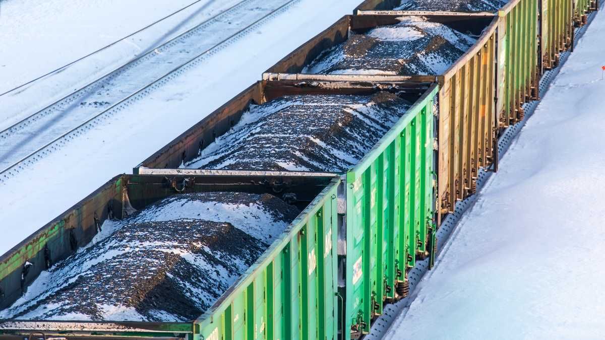 Россияне вагонами вывозят украинское зерно Россияне вагонами вывозят украинское зерно