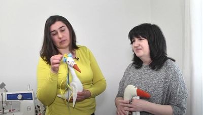 "Ми – таємна лабораторія": переселенка створює "бойових гусей" у Львові – захоплююче відео