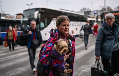 Из Донецкой области эвакуировались почти три четверти населения