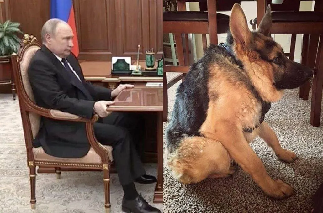 Тотемное животное Путина