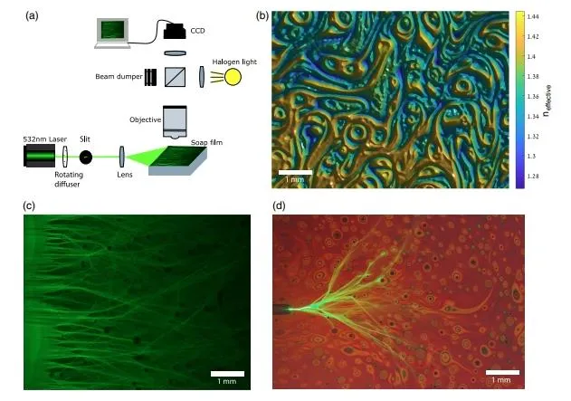 Демонстрація результатів експерименту Демонстрація результатів експерименту