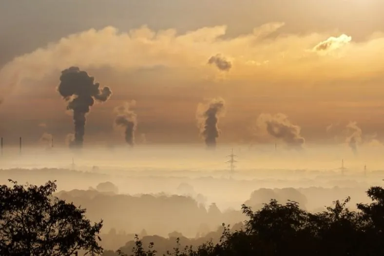 Екологія Екологія