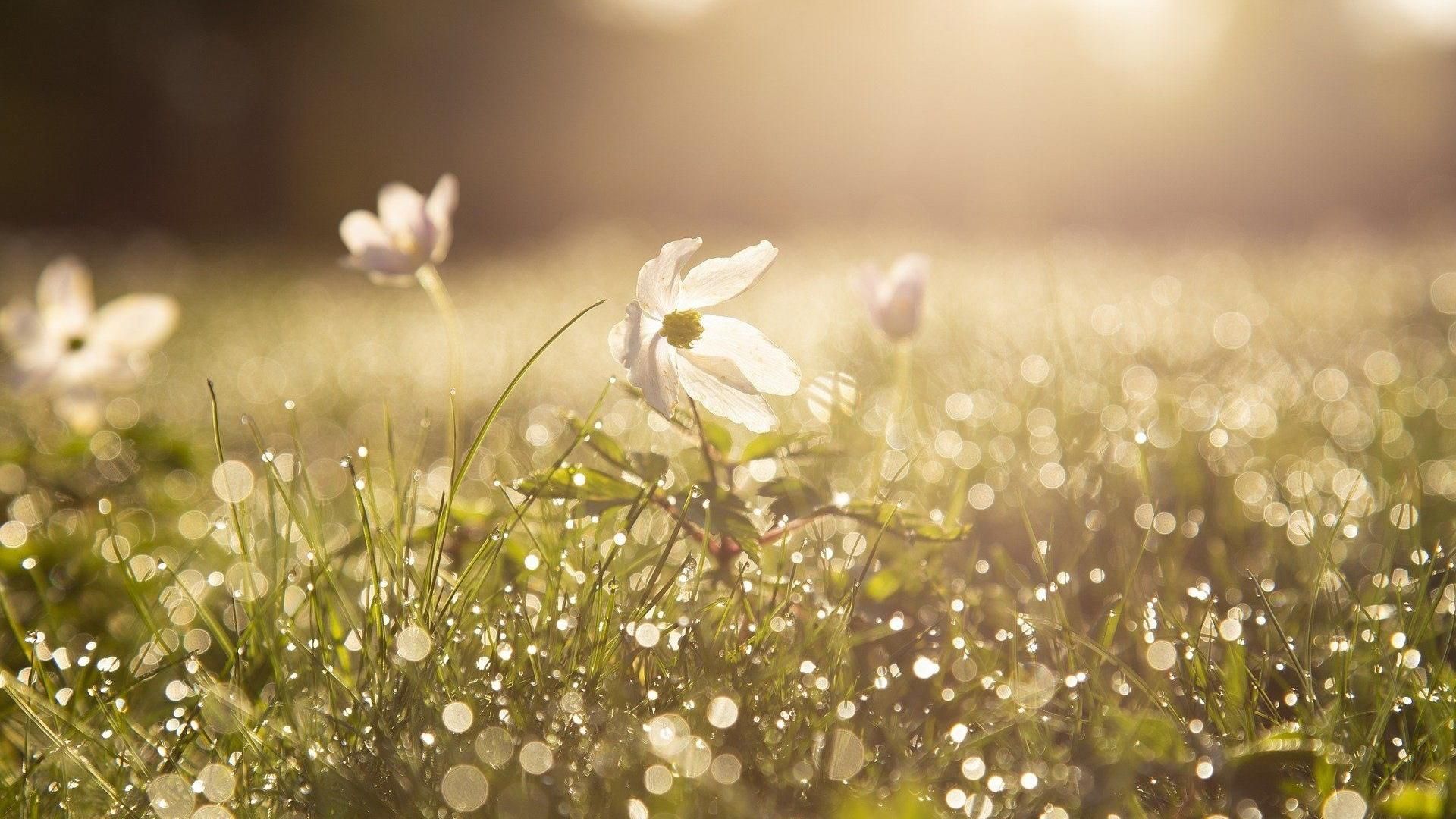 В Украину идет потепление до +23 градусов: прогноз погоды на 25 апреля В Украину идет потепление до +23 градусов: прогноз погоды на 25 апреля