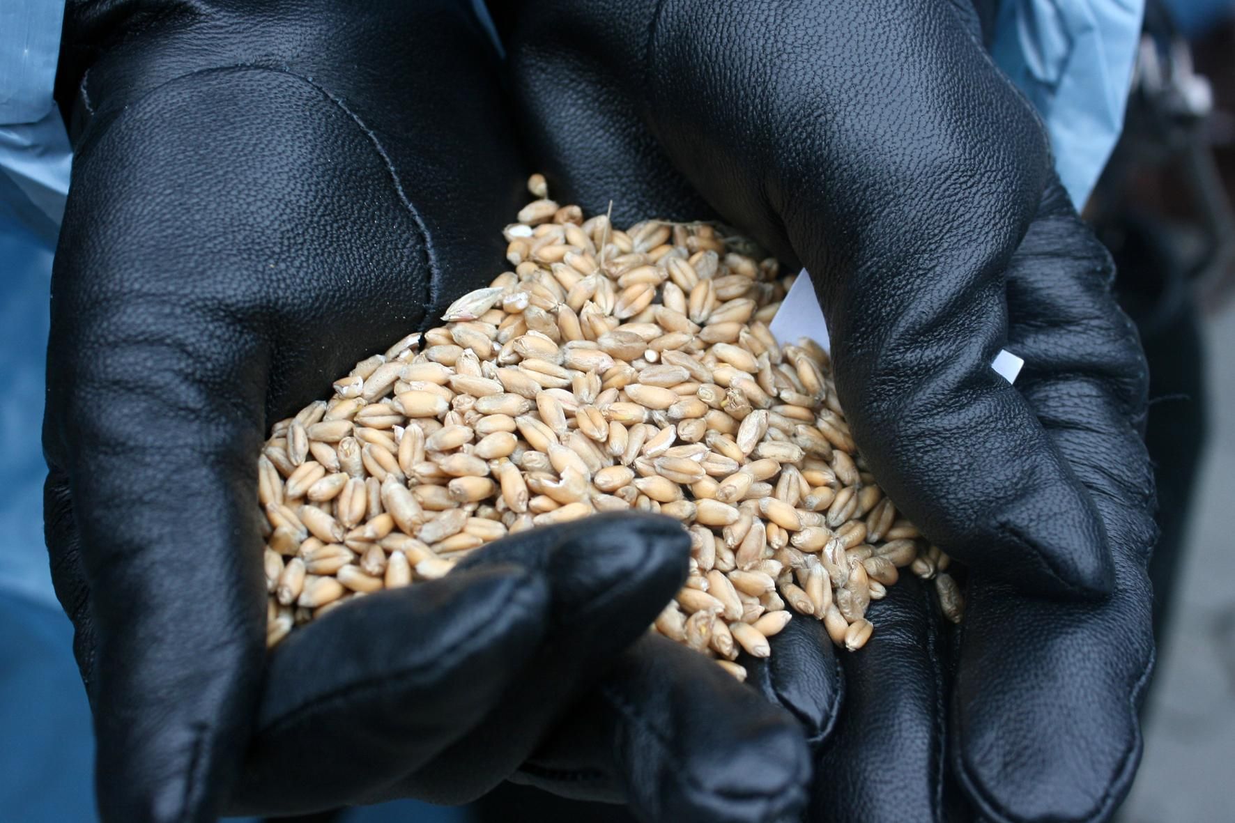 Российские оккупанты пытаются вызвать продовольственный кризис на Юге Украины Российские оккупанты пытаются вызвать продовольственный кризис на Юге Украины