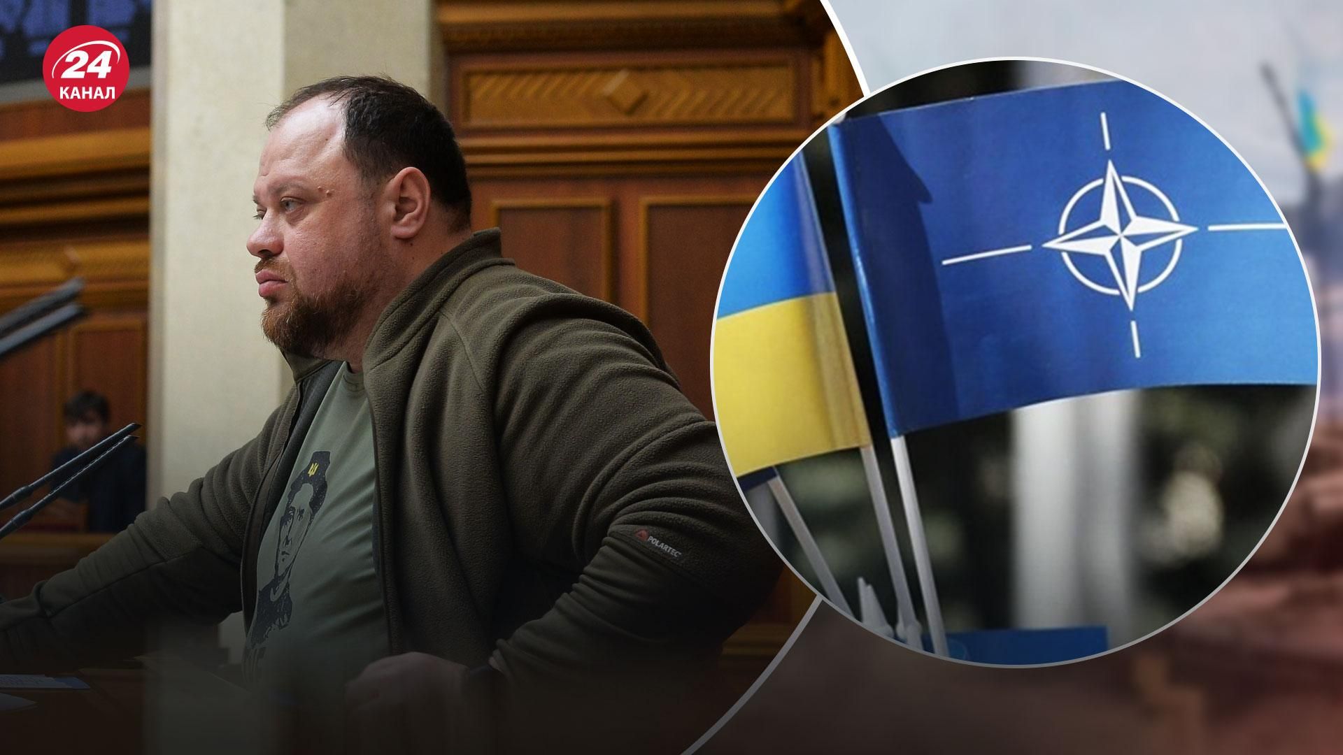 Стефанчук заявил, что Украина не будет вносить изменения в Конституцию относительно НАТО