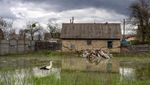 Село, которое спасло столицу: The New York Times показал последствия затопления Демидова в Киевской области