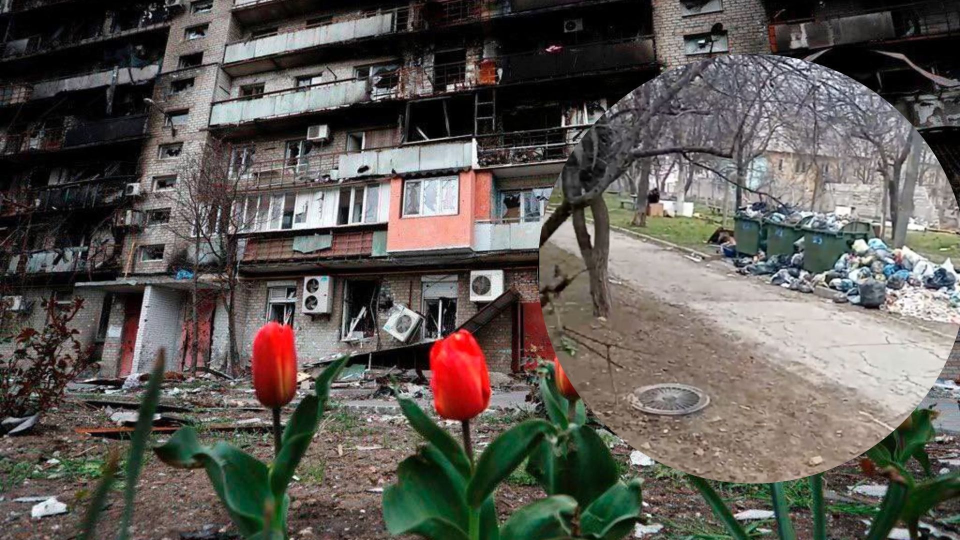 Из-за антисанитарии в Мариуполе могут вспыхнуть смертоносные эпидемии Из-за антисанитарии в Мариуполе могут вспыхнуть смертоносные эпидемии