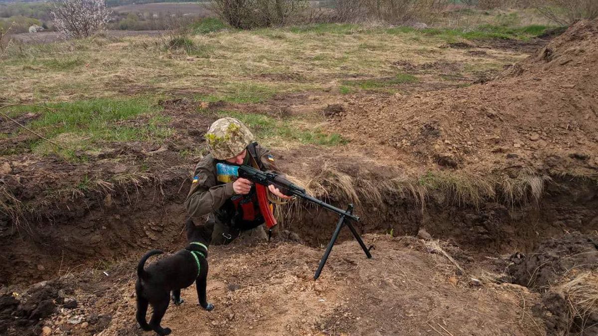 Нервує, коли чує про "русскіх": нацгвардієць показав собаку, яка допомагає йому на службі