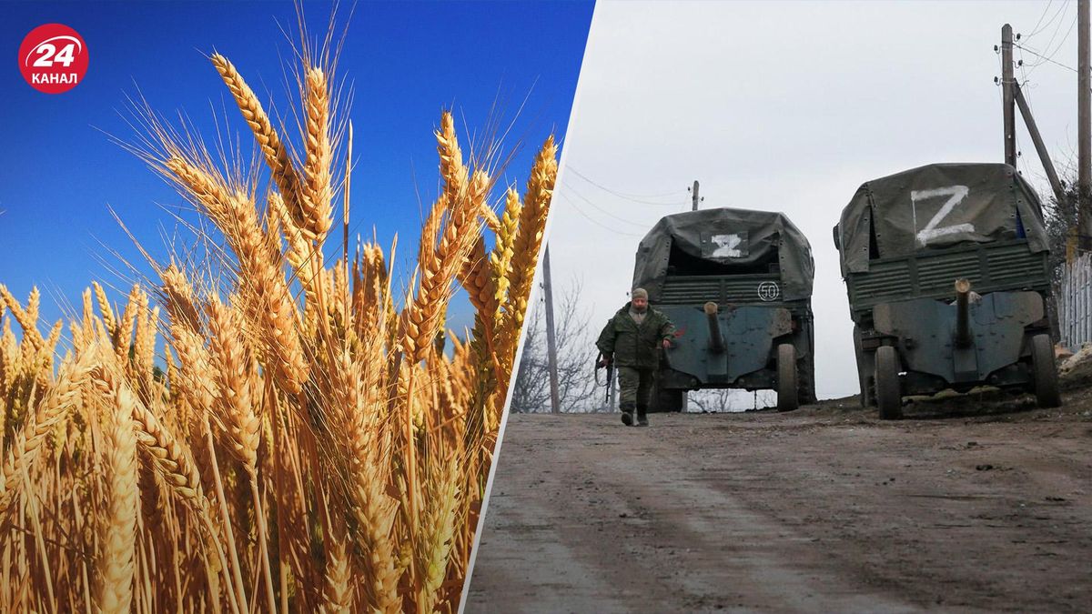 Із сільгосптовариства у Камянці-Дніпровській на Запоріжжі росіяни викрали понад 60 тонн пшениці