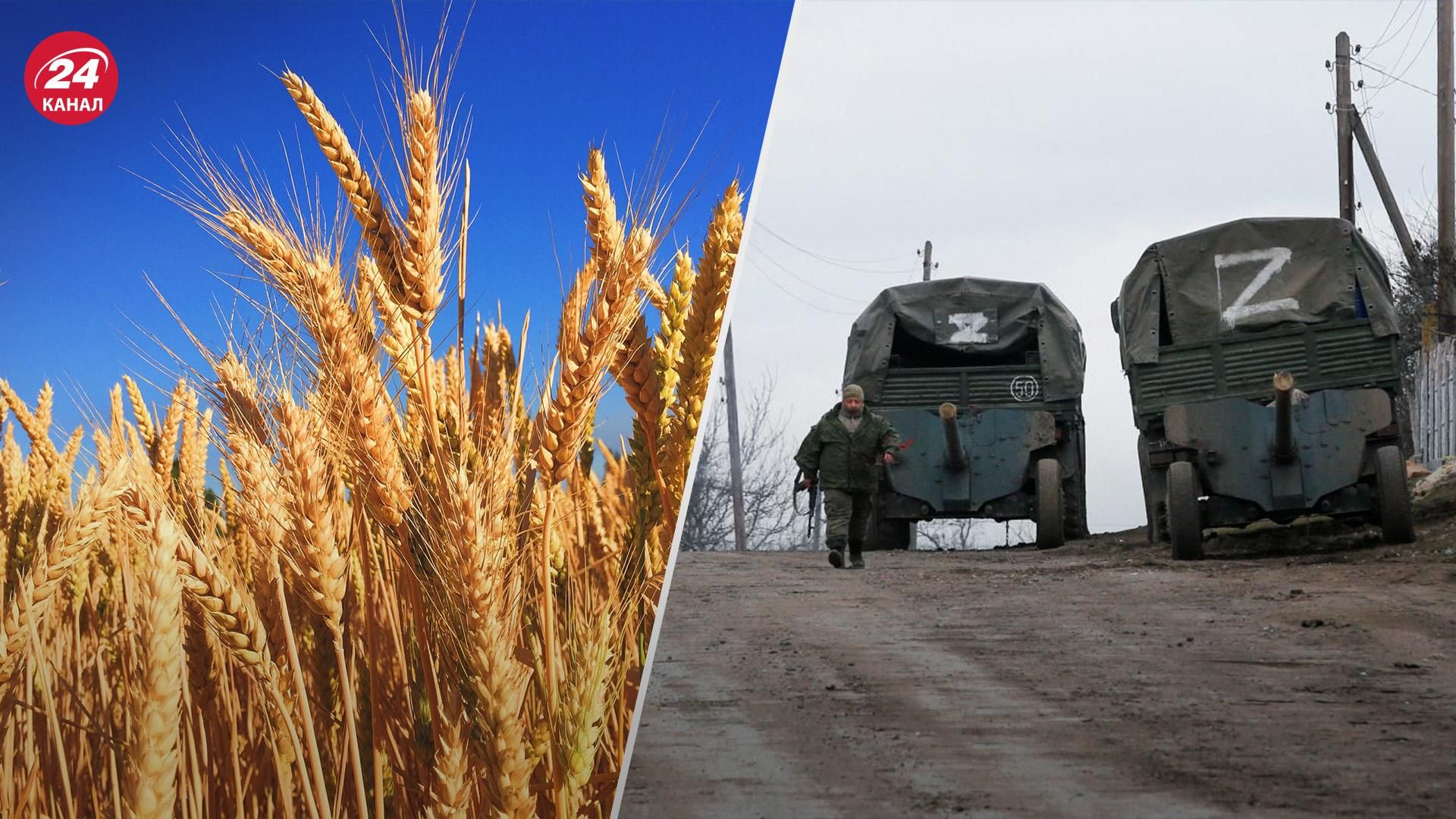 Из сельхозобщества в Каменке-Днепровской на Запорожье россияне похитили более 60 тонн пшеницы