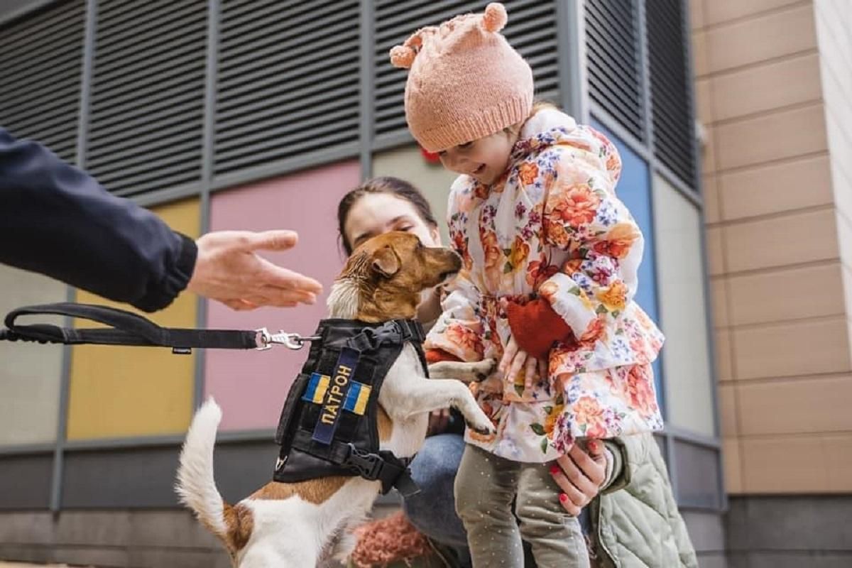 Хвостатая психологическая реабилитация: пес-сапер Патрон посетил детей в Охматдете