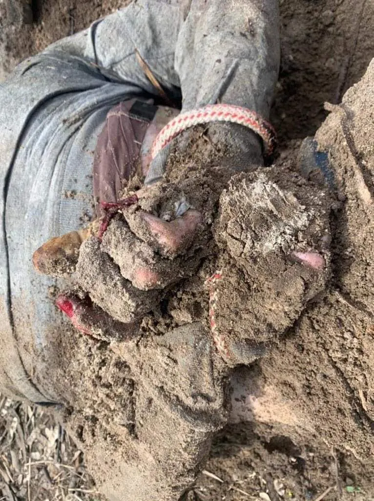 Закатовані українці Закатовані українці