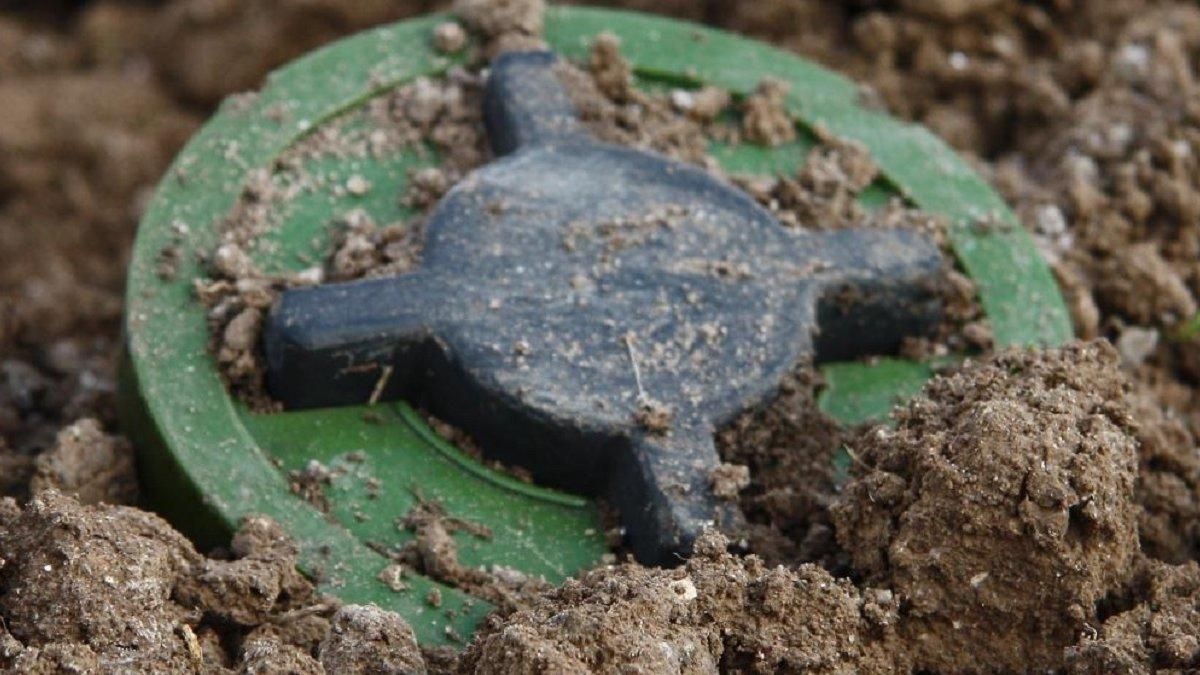 1 день війни – 30 днів розмінування в ОВА розповіли про темпи відновлення Київщини - 24 Канал 1 день війни – 30 днів розмінування в ОВА розповіли про темпи відновлення Київщини - 24 Канал