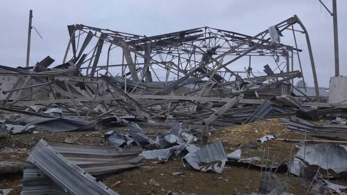 На Запоріжжі окупанти розбомбили ферму, тварини загинули На Запоріжжі окупанти розбомбили ферму, тварини загинули