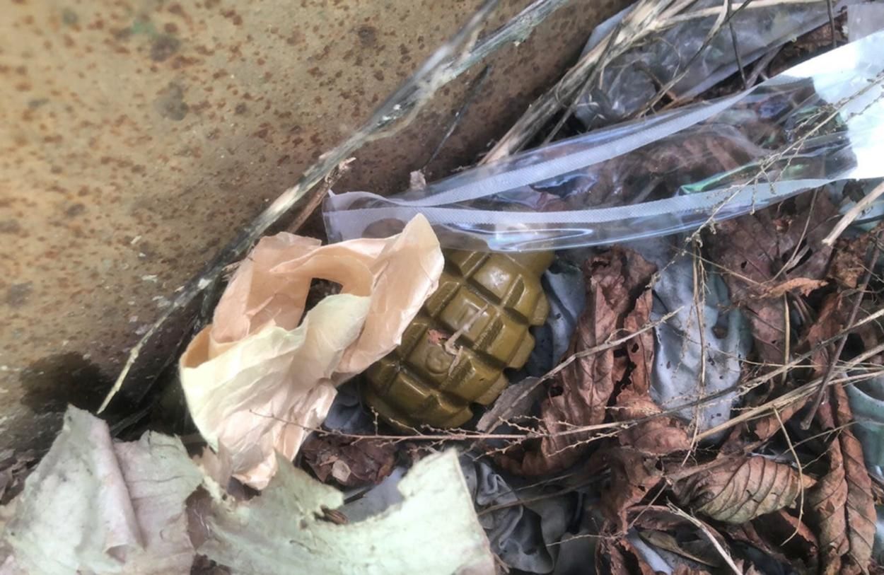 Здетонував запал від гранати, який приніс родич під Житомиром травмувалася 1-річна дівчинка - 24 Канал Здетонував запал від гранати, який приніс родич під Житомиром травмувалася 1-річна дівчинка - 24 Канал