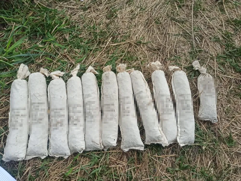 Сдетонировал пыл от гранаты, который принес родственник: под Житомиром травмировалась 1-летняя девочка Сдетонировал пыл от гранаты, который принес родственник: под Житомиром травмировалась 1-летняя девочка