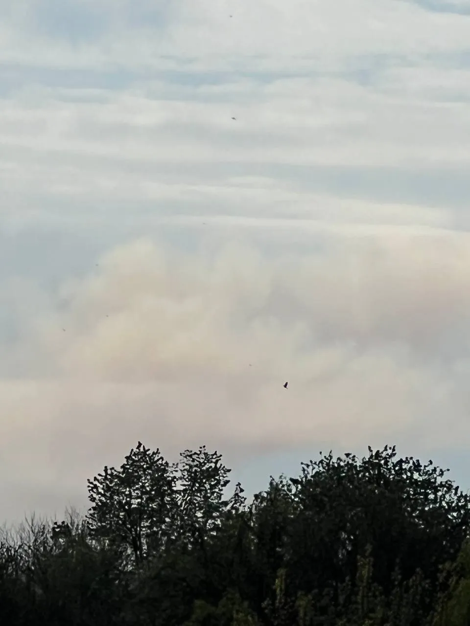 Вибухи в Миколаєві Вибухи в Миколаєві