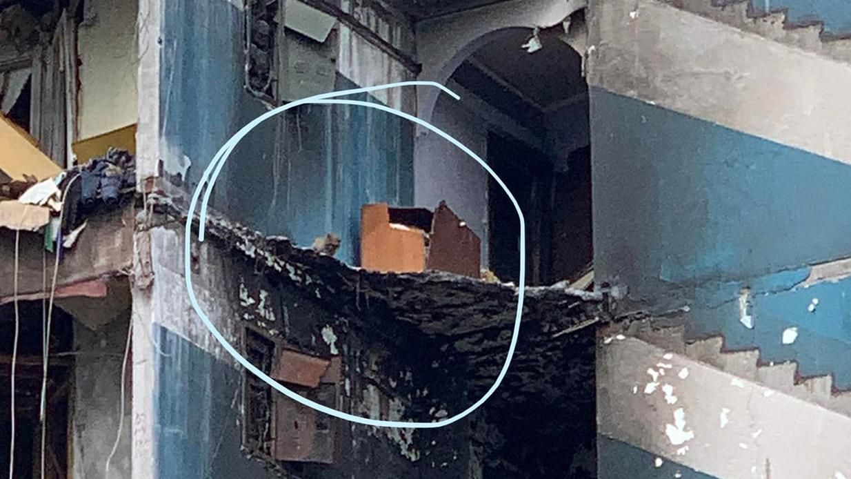 На 7 поверсі напівзруйнованого дому Бородянки помітили кота  його спробують врятувати - 24 Канал