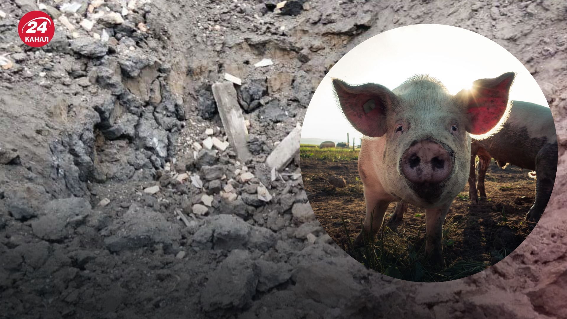 Россия "денацифицировала" свиней и кур: детали ракетных обстрелов Синельниковского района Россия "денацифицировала" свиней и кур: детали ракетных обстрелов Синельниковского района