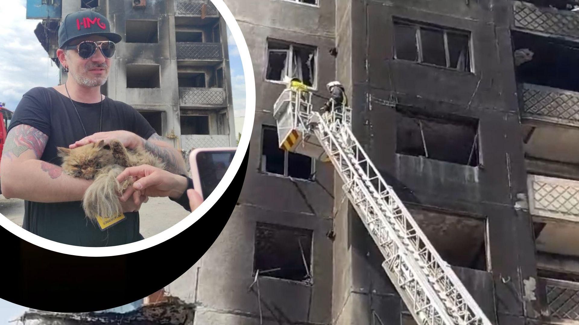 Волонтери врятували кота, який застряг на 7 поверсі зруйнованого будинку в Бородянці