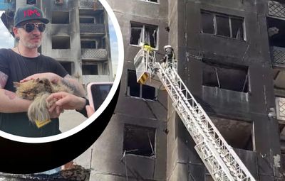 Волонтеры спасли кота, застрявшего на 7 этаже разрушенного дома в Бородянке
