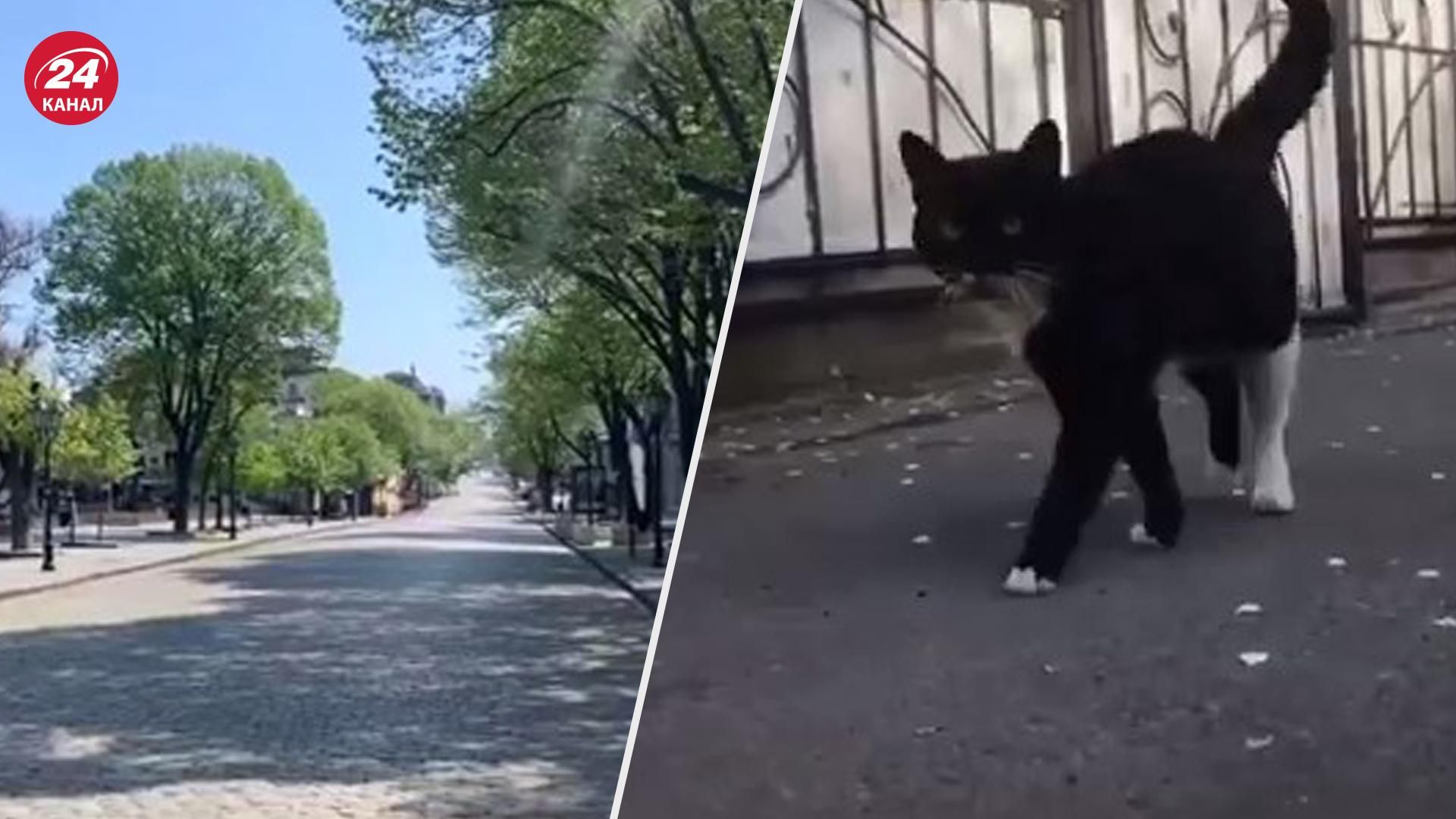 Безлюдная и тихая: как выглядит Одесса во время затяжного комендантского часа Безлюдная и тихая: как выглядит Одесса во время затяжного комендантского часа