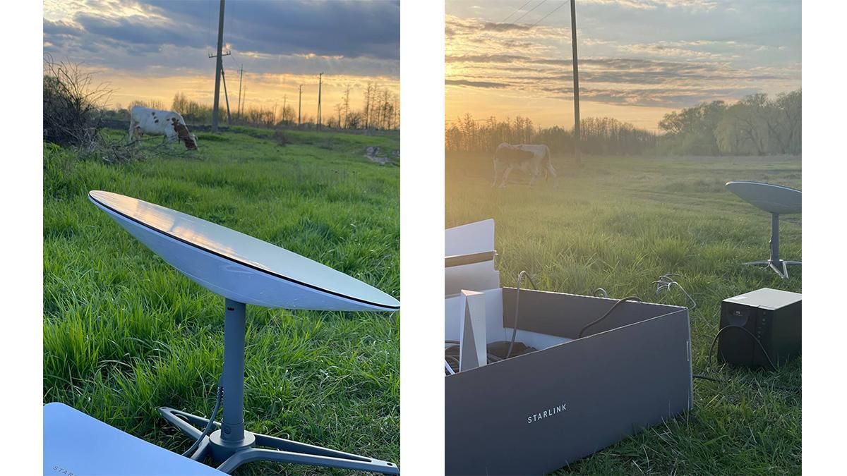Михайло Федоров розповів, скільки людей щодня користуються інтернетом Starlink в Україні Михайло Федоров розповів, скільки людей щодня користуються інтернетом Starlink в Україні