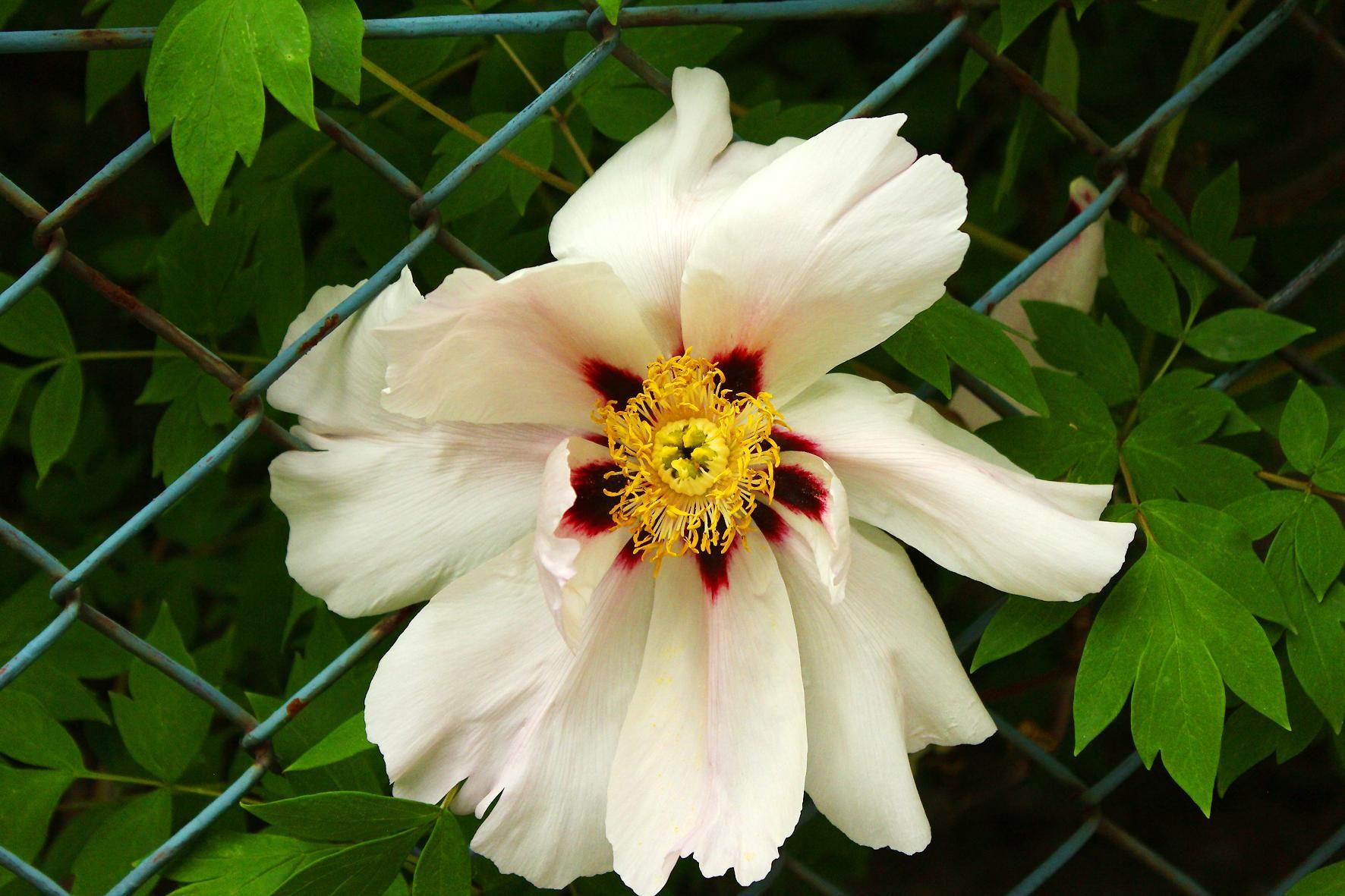 В Украине будет тепло, однако не обойдется без осадков: прогноз погоды на 4 мая В Украине будет тепло, однако не обойдется без осадков: прогноз погоды на 4 мая