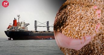 Россияне пытались вывезти в Египет украденное украинское зерно