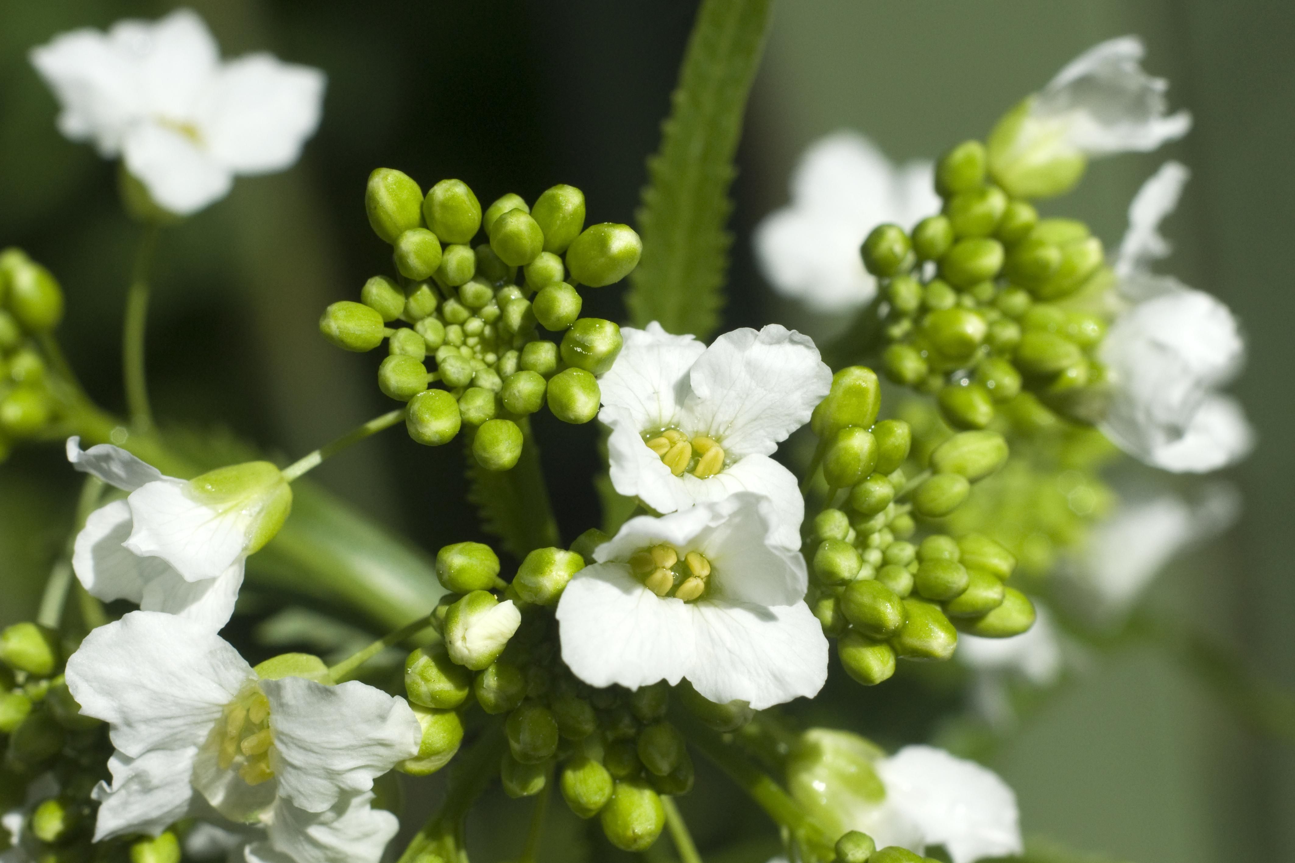 Грозы и +24 градуса: прогнозы погоды на 6 мая Грозы и +24 градуса: прогнозы погоды на 6 мая