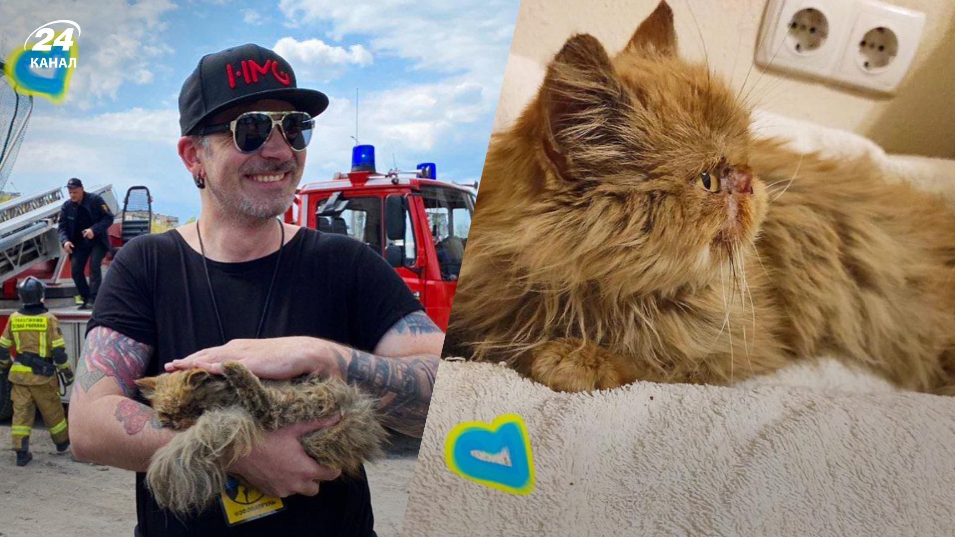 Врятовану у Бородянці кішку назвали Шафкою та вже знайшли їй нових господарів Врятовану у Бородянці кішку назвали Шафкою та вже знайшли їй нових господарів