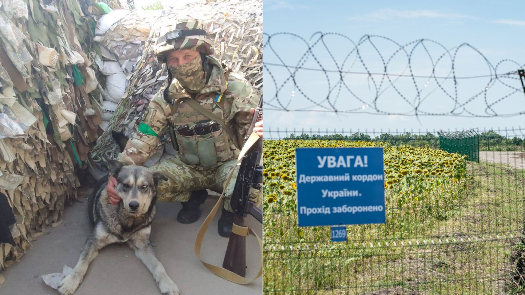 Терминатор на службе: пограничники похвастались боевым псом, ненавидящим оккупантов