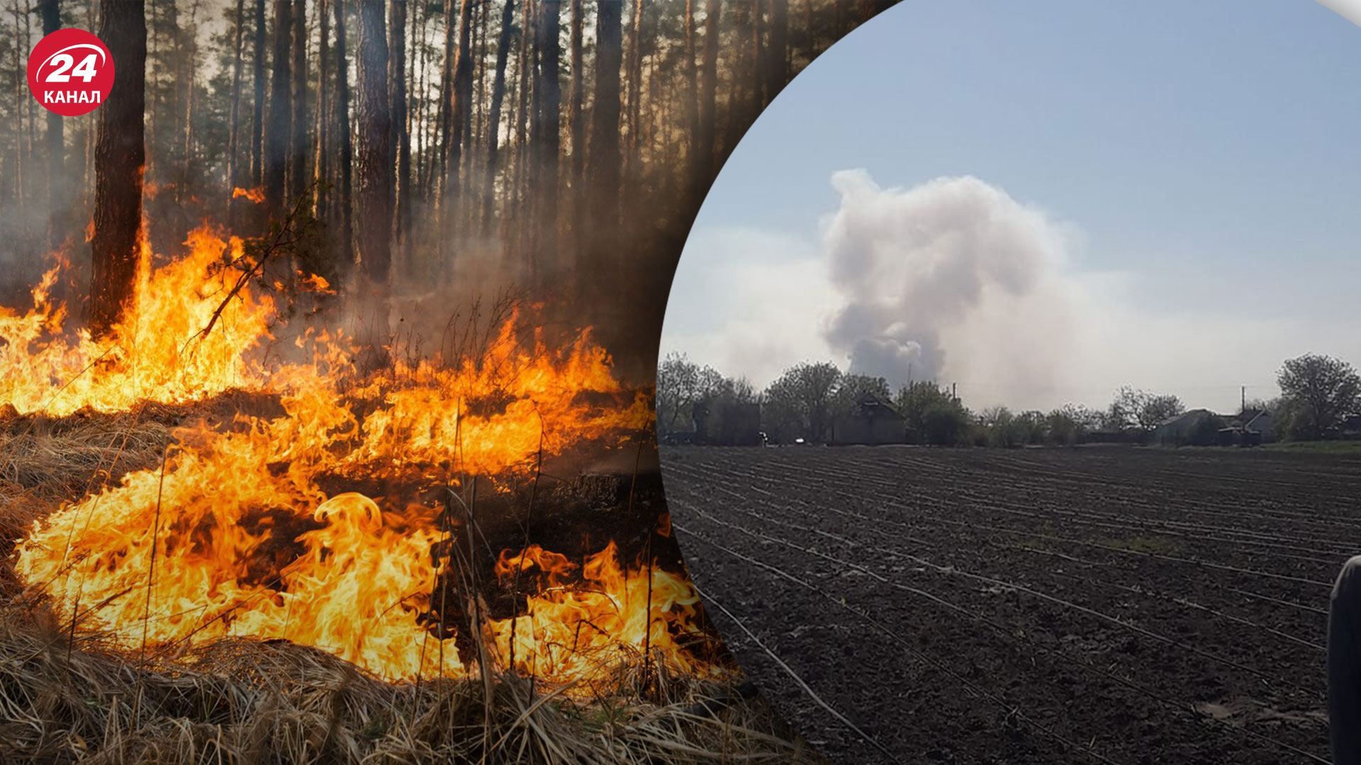 На Херсонщині спалахнули лісові пожежі  окупанти забороняють їх гасити - 7 травня 2022 - 24 Канал