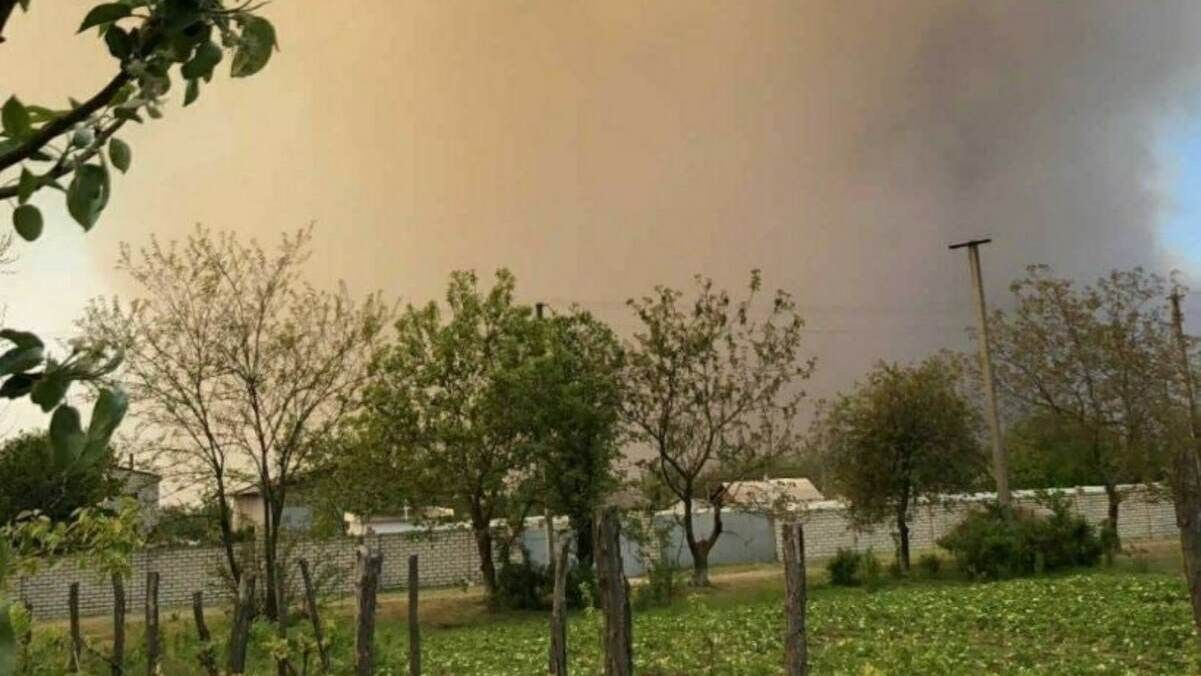 Возле Гладковки на оккупированной Херсонщине 3 день горит лес: из-за дыма местным тяжело дышать