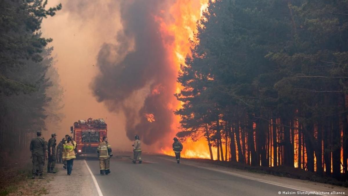 Сибирь и Урал в огне: в России некому гасить опустошительные пожары, люди в отчаянии