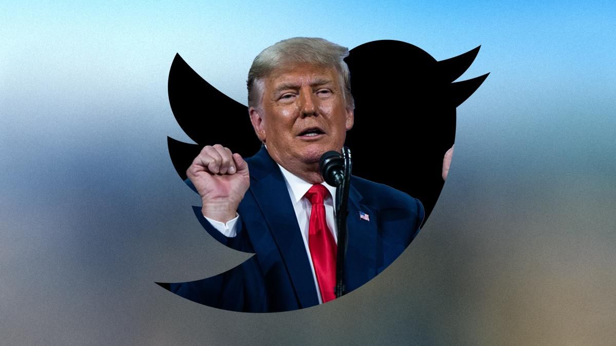 Илон Маск разблокирует Дональда Трампа в Twitter Илон Маск разблокирует Дональда Трампа в Twitter