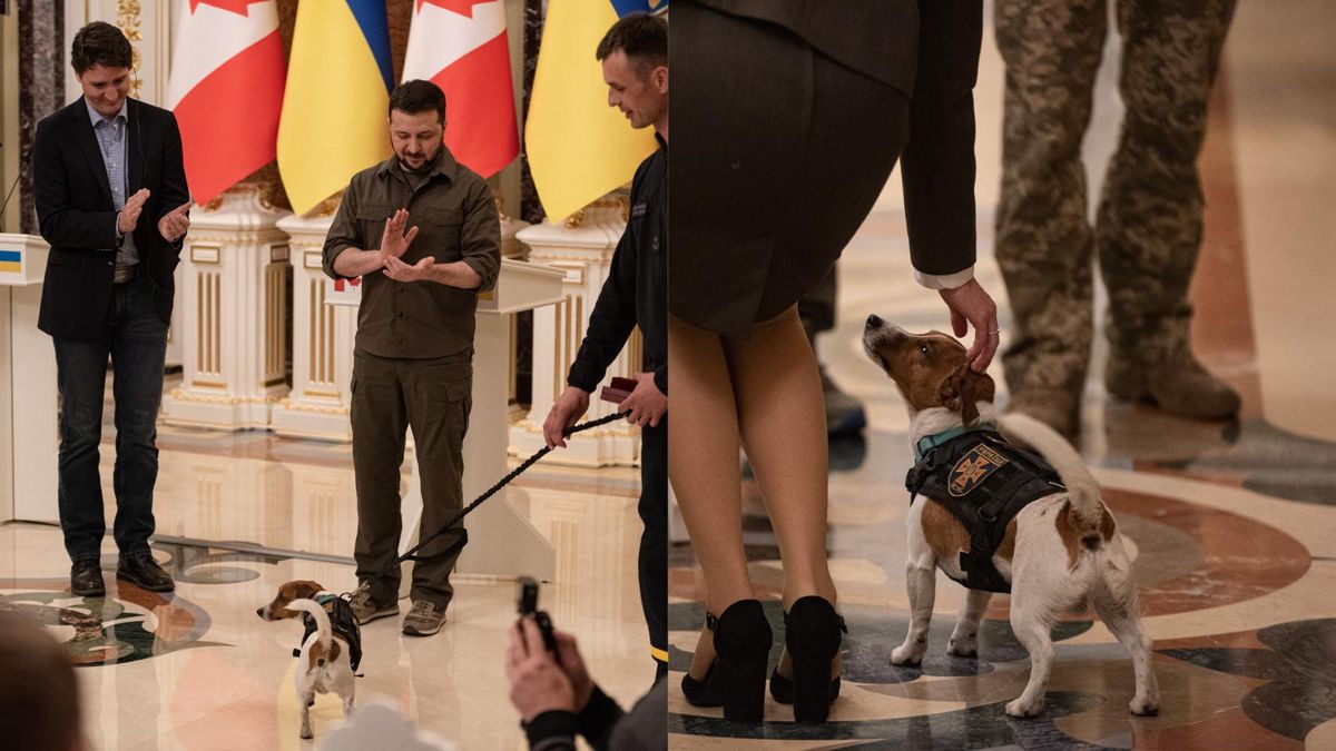 Трюдо в восторге от Патрона: после визита в Киев премьер рассказал канадцам о смелой собаке