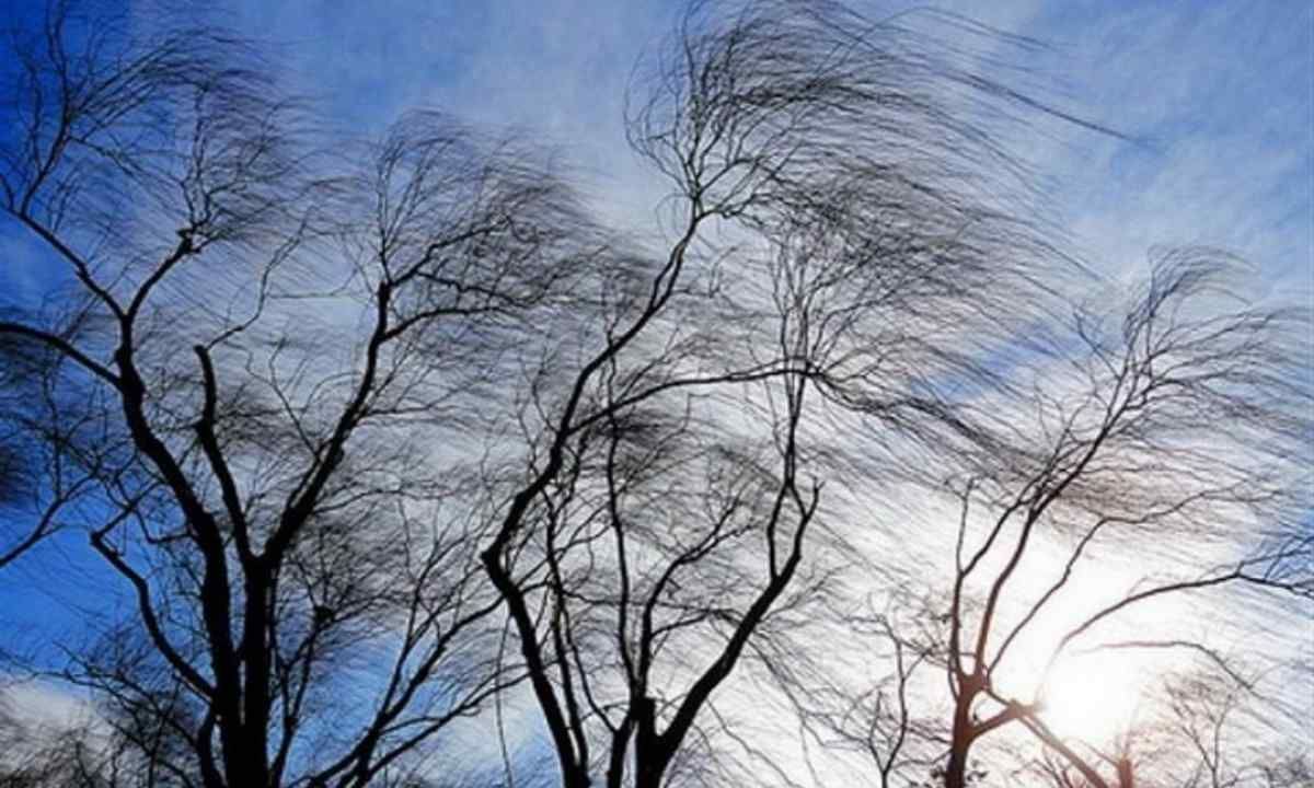 Ураган на Черниговщине посрывал крыши и обесточил почти 68 тысяч абонентов Ураган на Черниговщине посрывал крыши и обесточил почти 68 тысяч абонентов